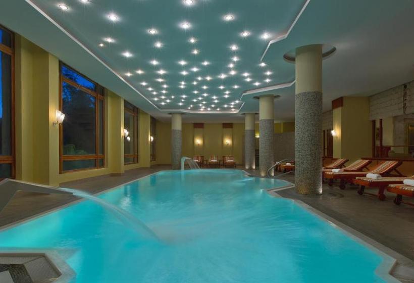 Отель Villarrica Park Lake By Enjoy