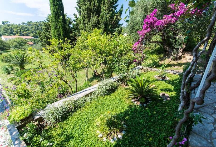 بنسيون Guesthouse Kanjuo