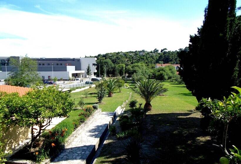 بنسيون Guesthouse Kanjuo