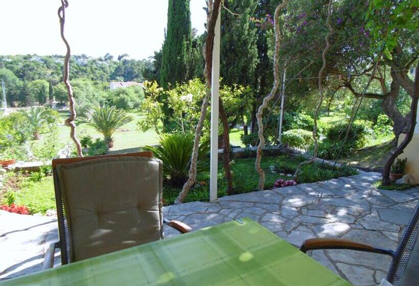 بنسيون Guesthouse Kanjuo