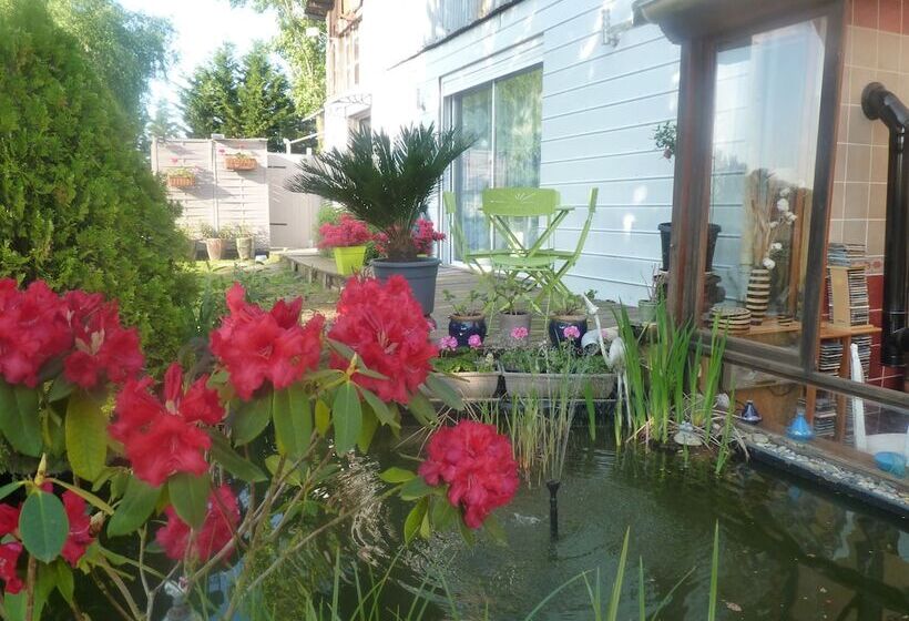 פנסיון L'arum Antique