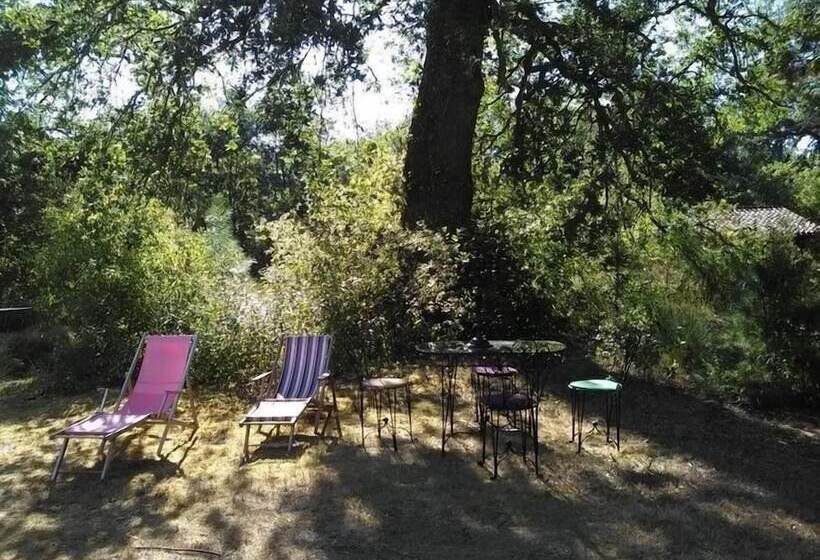 بنسيون L'atelier Du Grison