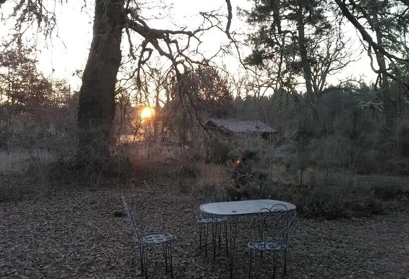 بنسيون L'atelier Du Grison