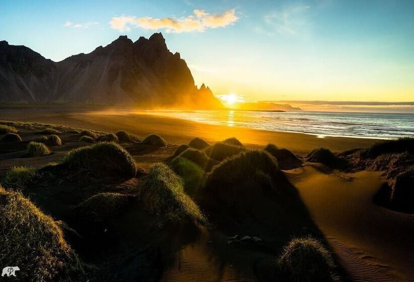 پانسیون Viking Cafe Guesthouse