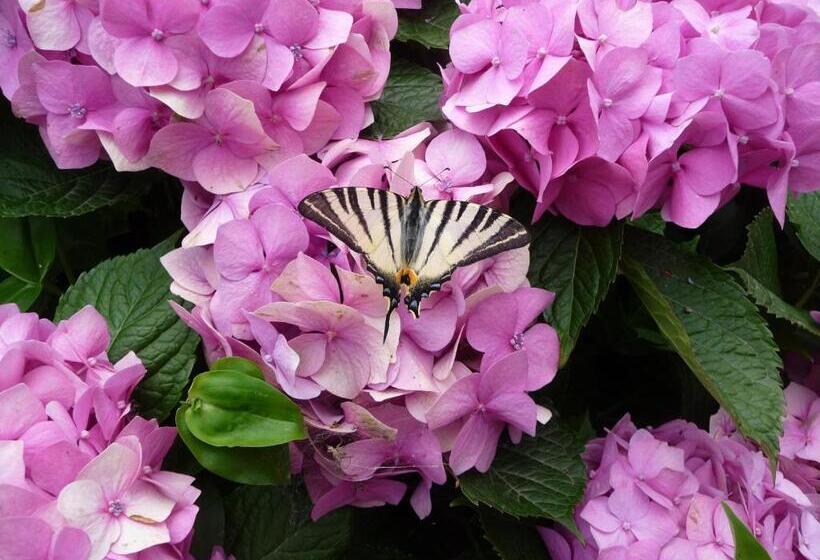 Pension & Apartments Ertl