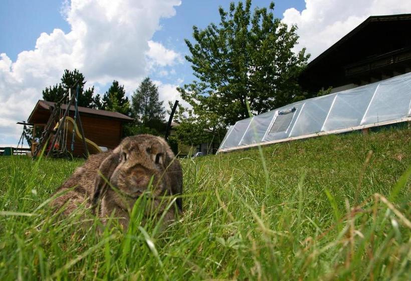 Pension Leit N Franz