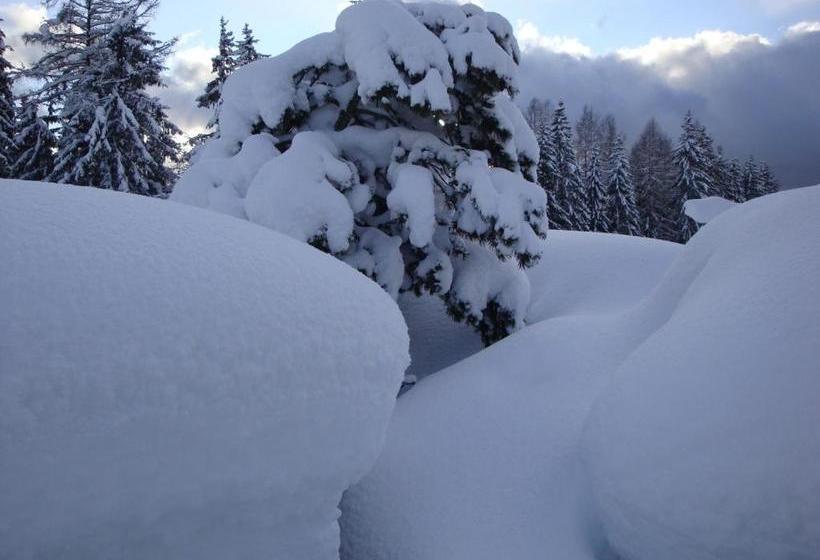 Pension Leit N Franz