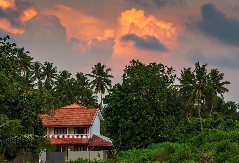 Turtle Paradise Villa & Restaurant