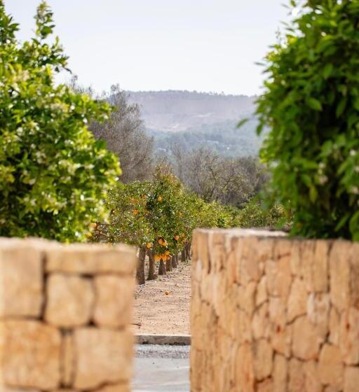 هتل Can Jaume Private Villas By Ocean Drive