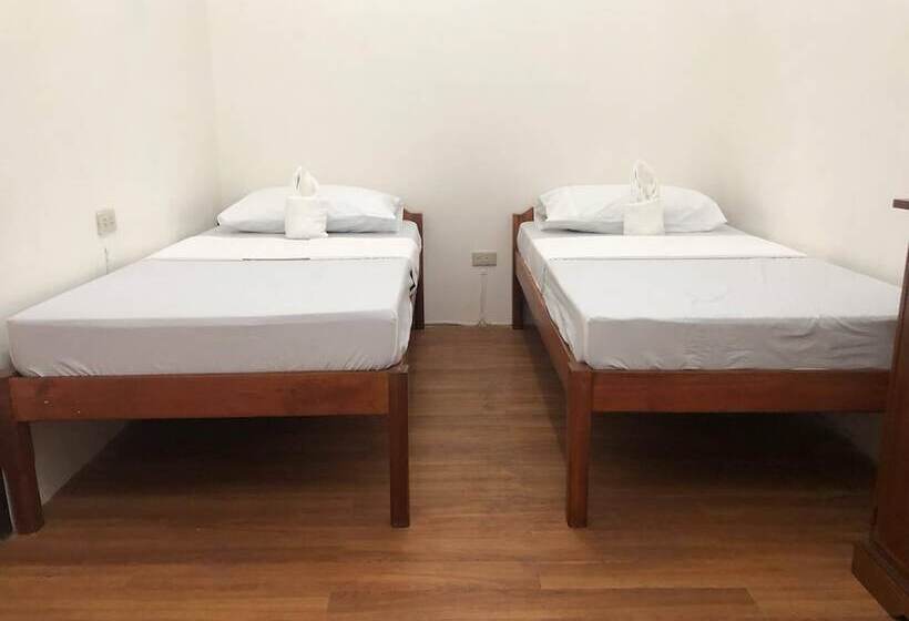 Bed Bunks And Beyond Hostel