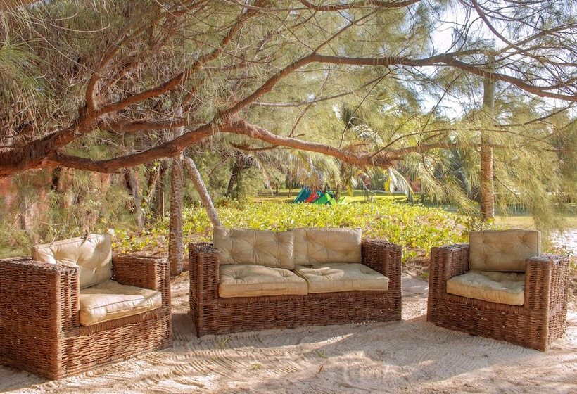 פנסיון Casawind Taiba