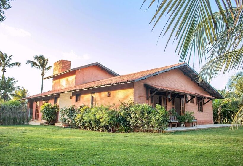 פנסיון Casawind Taiba