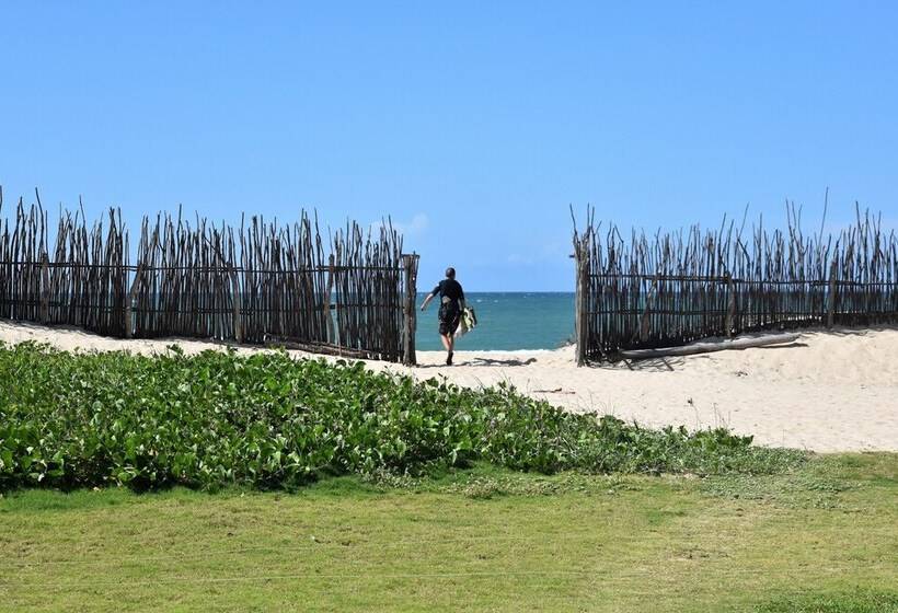 פנסיון Casawind Taiba