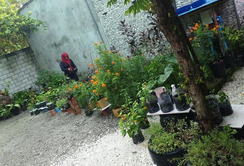 پانسیون Fuvahmulah Inn