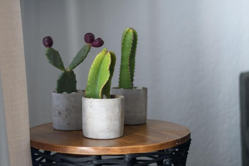 펜션 Ikies Of Mykonos