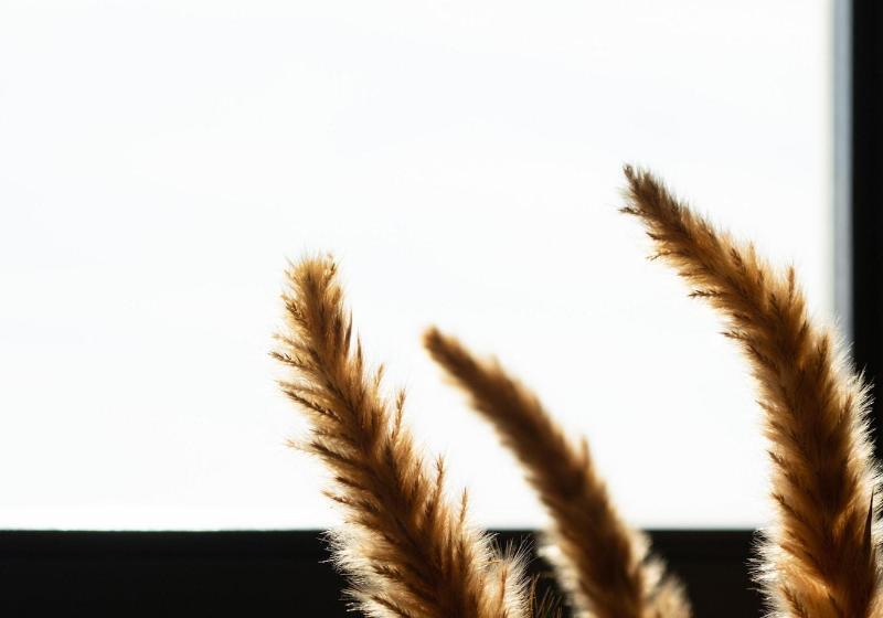 펜션 Ikies Of Mykonos