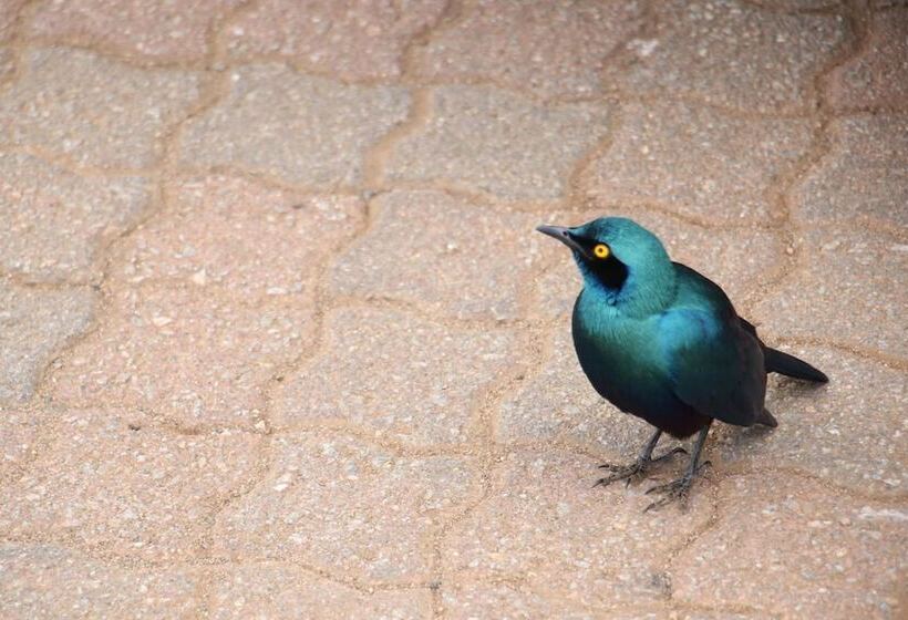 ペンション Kruger Castle Guest House