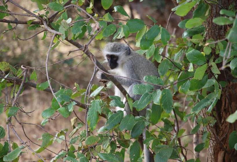 ペンション Kruger Castle Guest House
