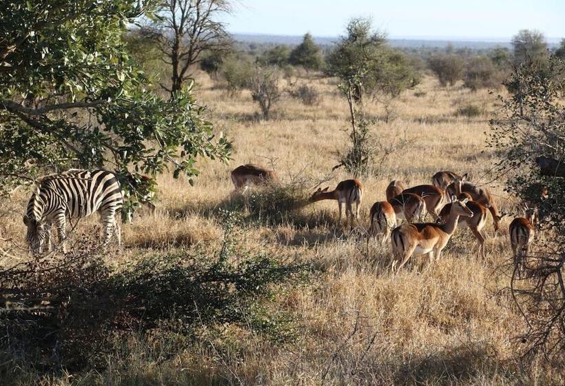ペンション Kruger Castle Guest House