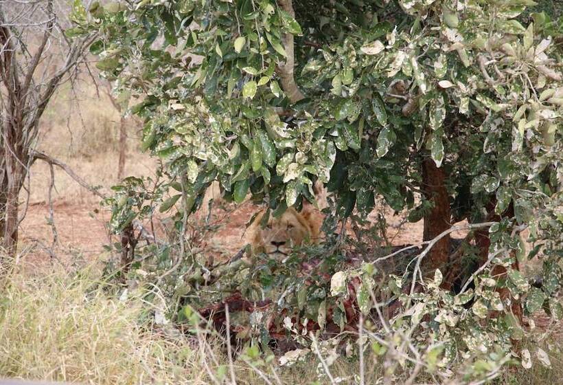 膳宿费 Kruger Castle Guest House