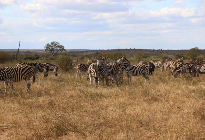 ペンション Kruger Castle Guest House