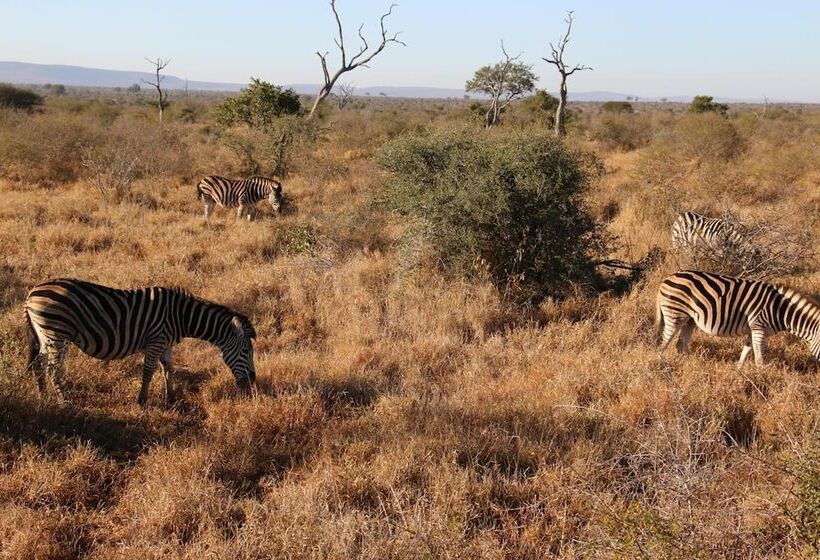 膳宿费 Kruger Castle Guest House