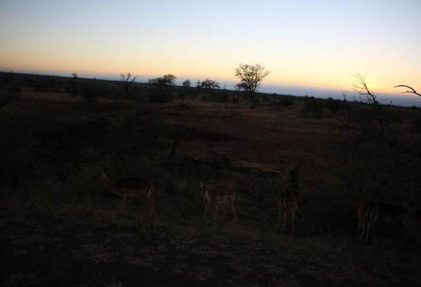 膳宿费 Kruger Castle Guest House