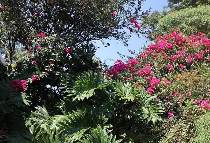 פנסיון Le Residence De Josephine