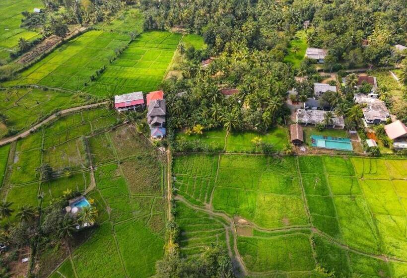 펜션 Nelu Villa Sigiriya