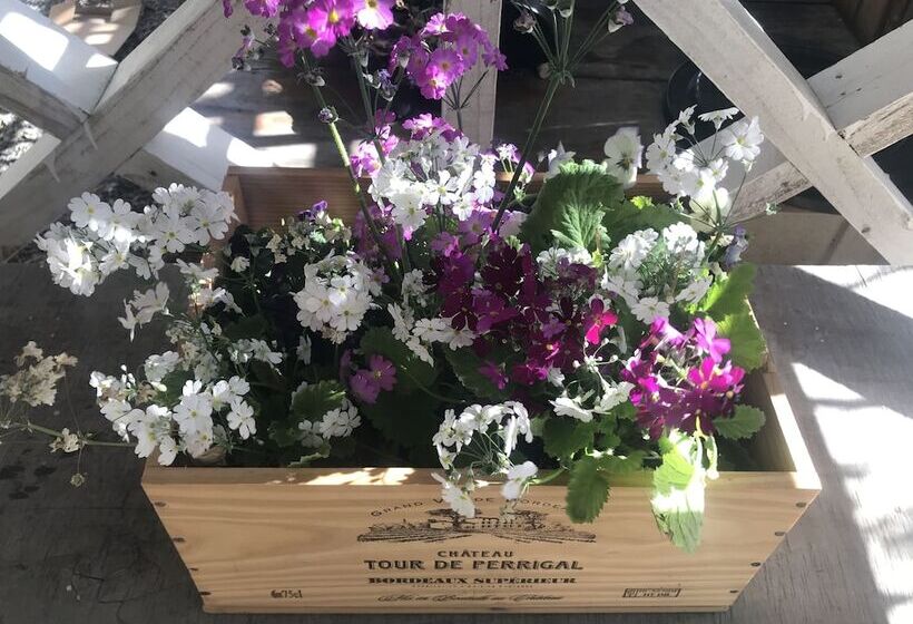 פנסיון Prodigal Daughter Gourmet Lodge