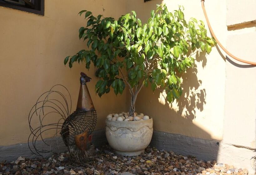 ペンション Roba Monakedi Guest Lodge