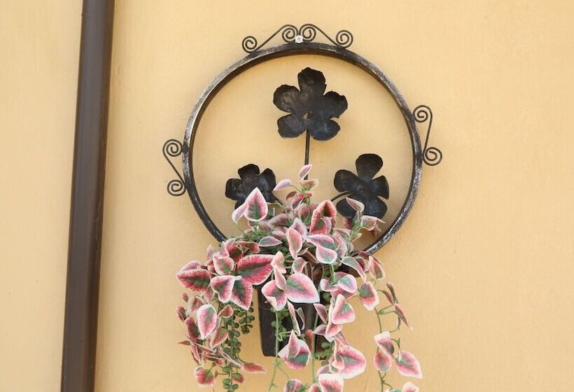 ペンション Roba Monakedi Guest Lodge