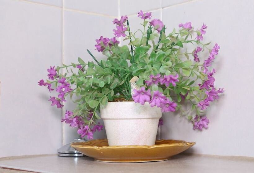 ペンション Roba Monakedi Guest Lodge