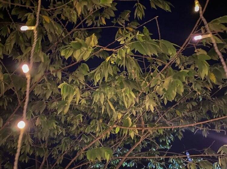 פנסיון Westeros House