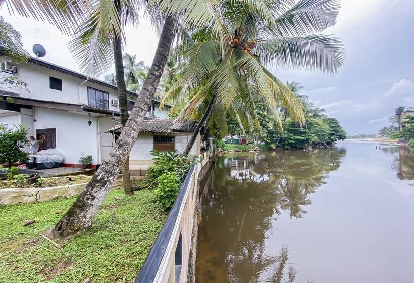 פנסיון Westeros House