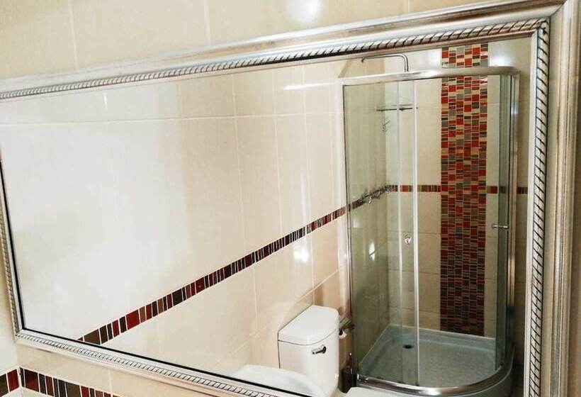 بنسيون Willow Manor Guest House Brits