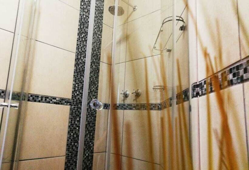 بنسيون Willow Manor Guest House Brits