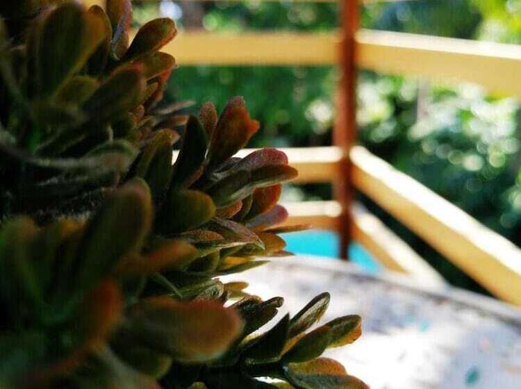 بنسيون Willow Manor Guest House Brits