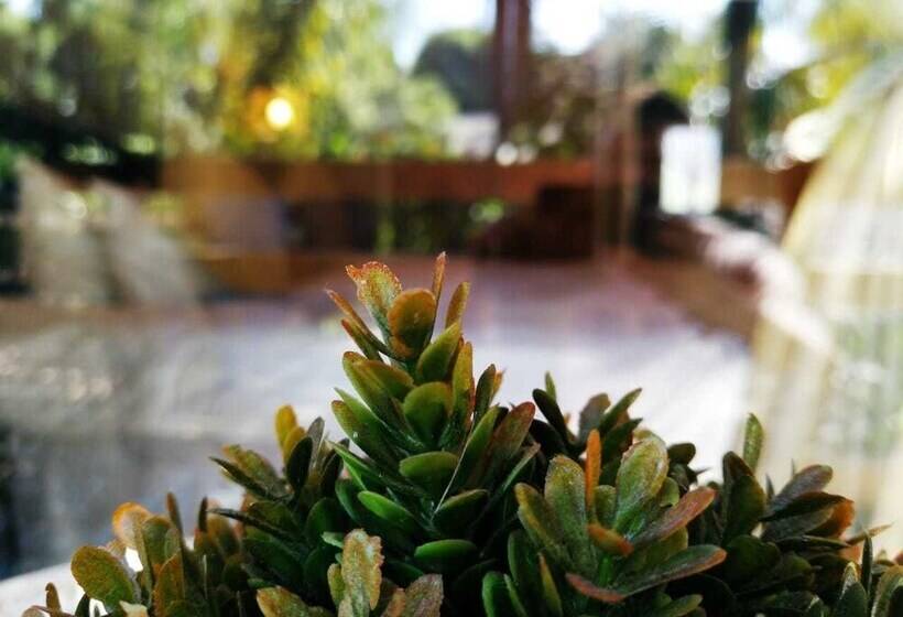 بنسيون Willow Manor Guest House Brits