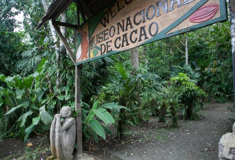 Casa Cerise Beachfront