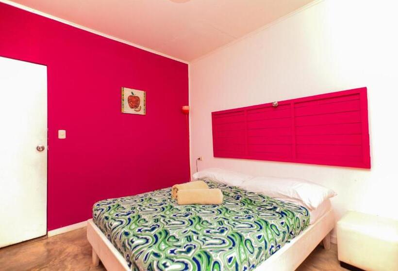 Casa Cerise Beachfront