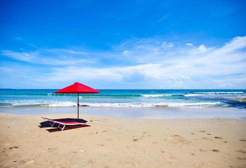 Casa Cerise Beachfront