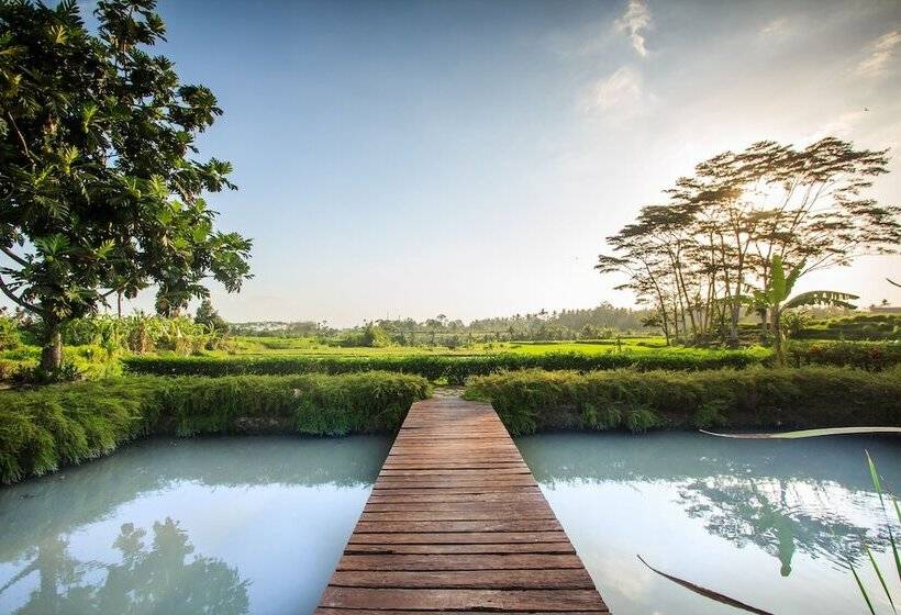 Griya Kcb Villa Ubud