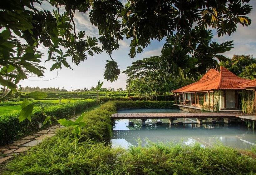 Griya Kcb Villa Ubud