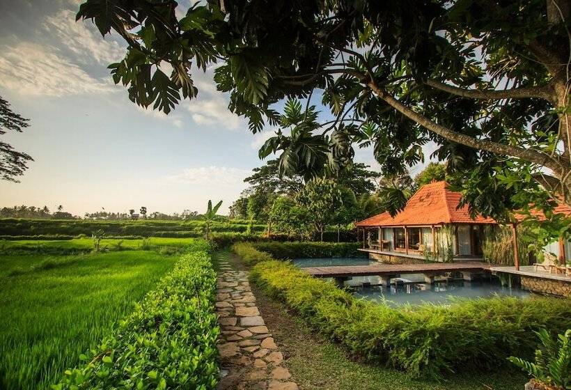 Griya Kcb Villa Ubud
