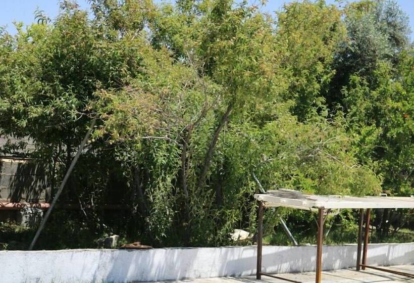 پانسیون Abu Omair Jabal Shams House