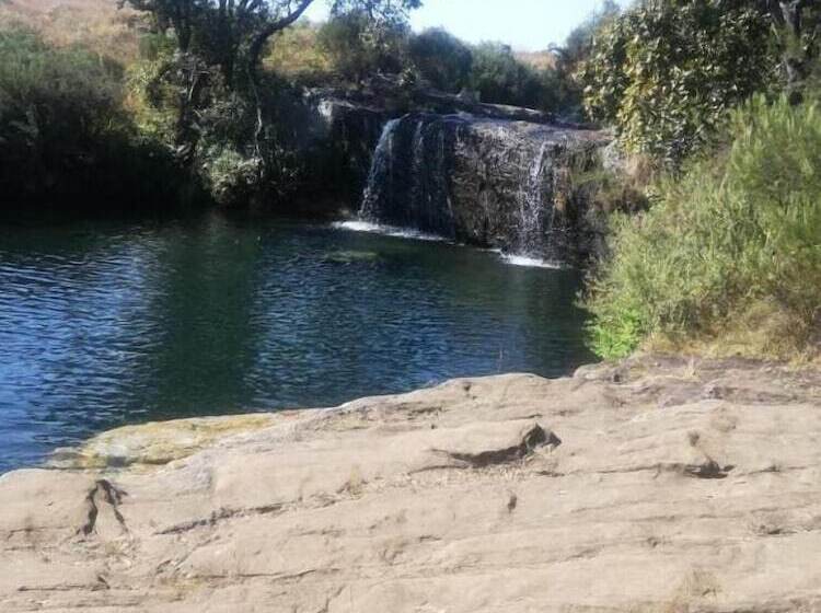 Пансион Btv Guesthouse