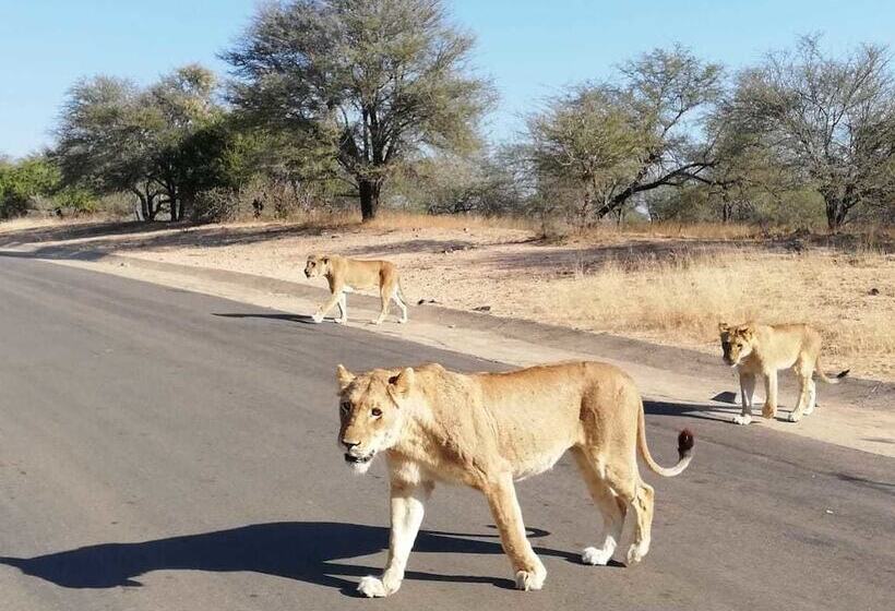 Пансион Btv Guesthouse