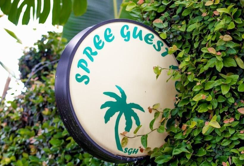 بنسيون Spree Guest House