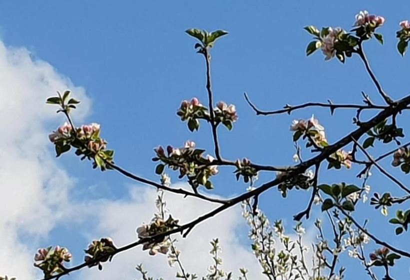 Bed and Breakfast A Bella Scusa